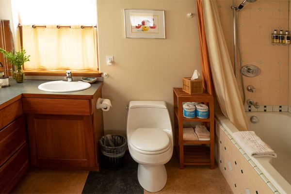 Farmhouse Suite bathroom