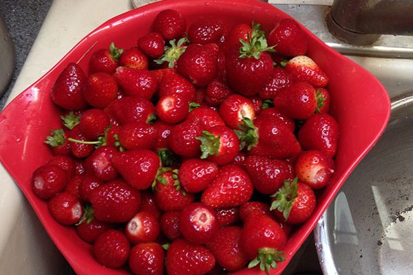 June strawberries