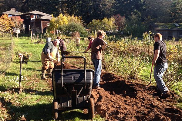 Preparing beds in the spring