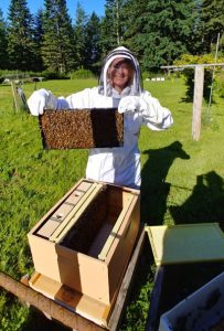 Beekeeping at Nettles Farm on Lummi Island