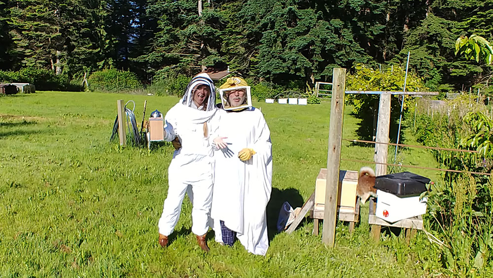 Beekeeping Update at Nettles Farm