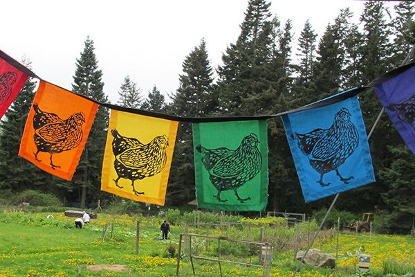 chickenflags