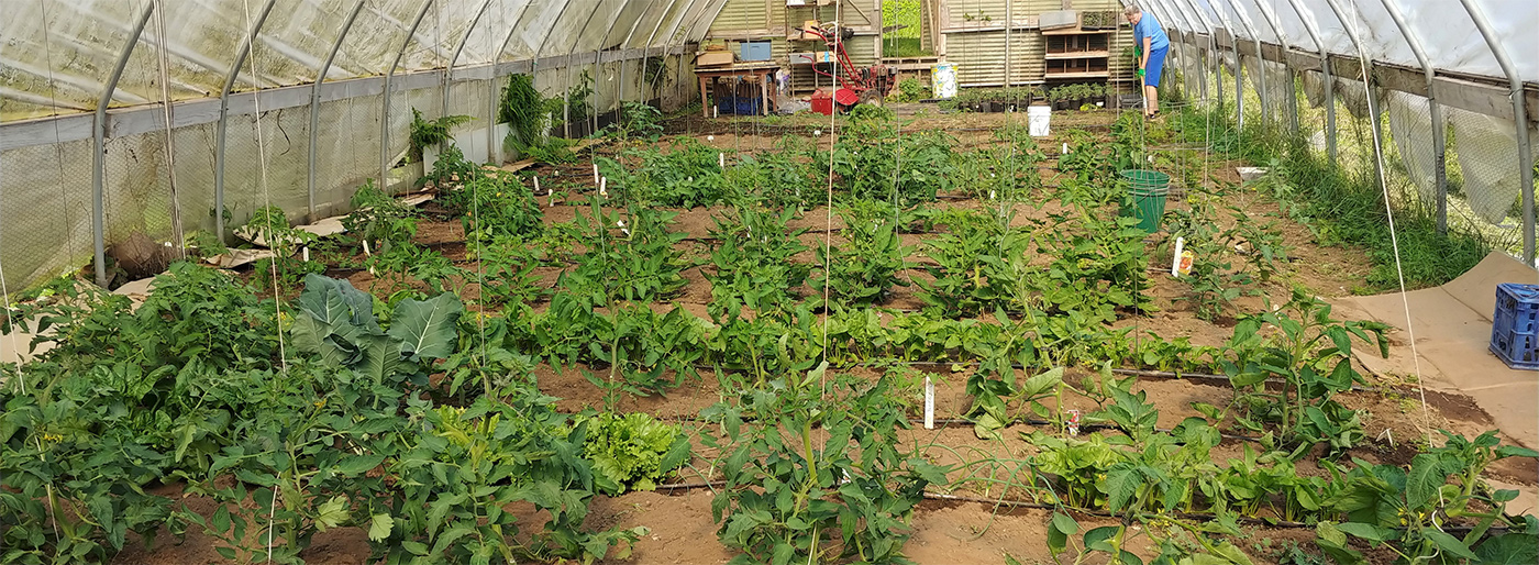 Enjoy Farm Fresh Vegetables & Your Own Potager!